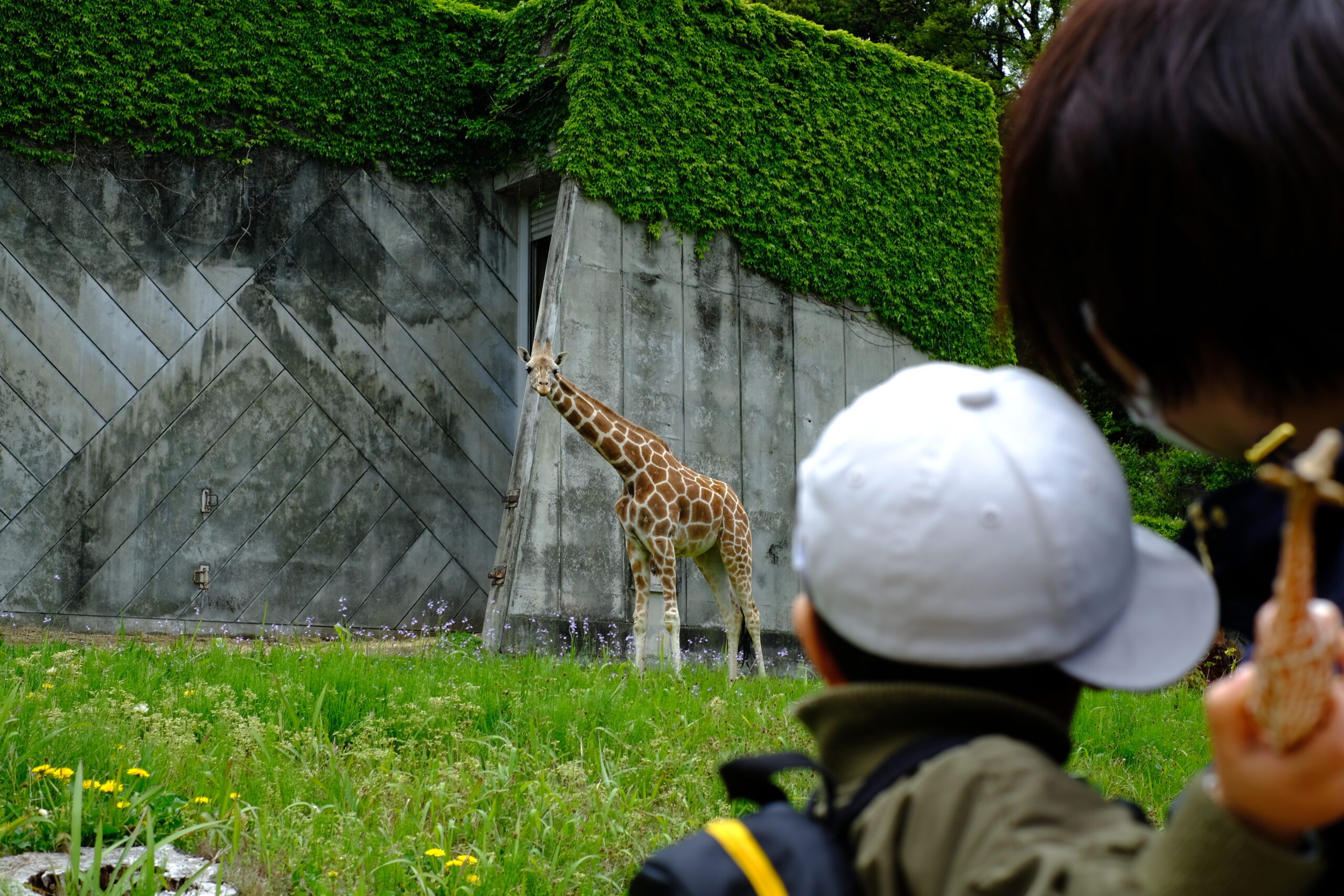 【息子日記】動物園に行きました